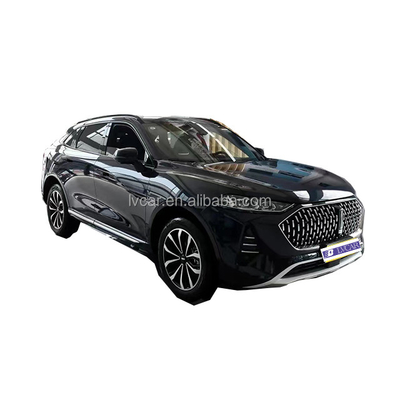 Efficiëntie nooit gezien Deze goede Wei Mocha Hybrid Electric SUV met 2915 wielbasis