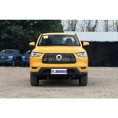 2023 POER Passagier 2.0T Benzine Automatische Vierwielaandrijving Comfortable GW4C20B Great Wall Motors