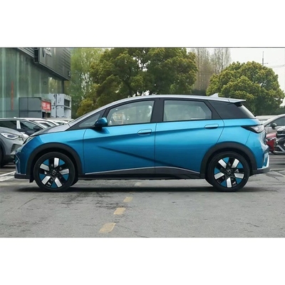 BYD Dolphin Long Range Pure Electric Vehicle met 180Nm maximaal koppel en vijf deuren