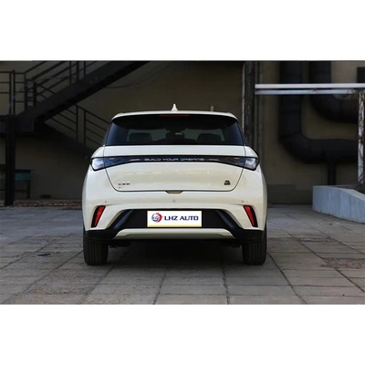 BYD Dolphin's Micro Car van 2024 met 100% elektrische brandstof en 1 uur opladen