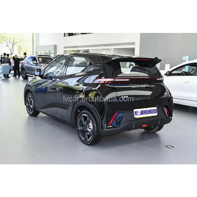 s meest populaire Mini Vierzitter NEV 2024 BYD Seagull Electric SUV Maximaal koppel 135 Nm