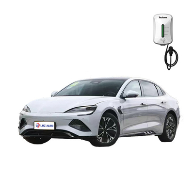 2024 Populair model BYD Elektrisch voertuig met maximaal vermogen van 45 kW en lithiumbatterie