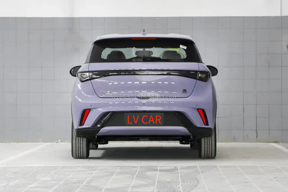 BYD Dolphin Electric Car 420km Range 2023 Volwassen Model Maximaal vermogen 45kW Haitun EV Car