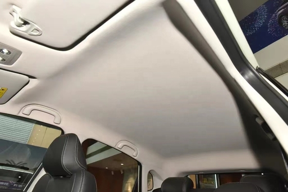 De Perfecte Familiereisende SUV 400km Batterij Levensduur Lithium Ion Batterij Maximale snelheid 120 km/u