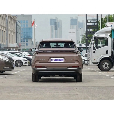 Neta U-II 500's nieuwste elektrische SUV voor huishoudens 500 km Pure Electric Range in Bruin