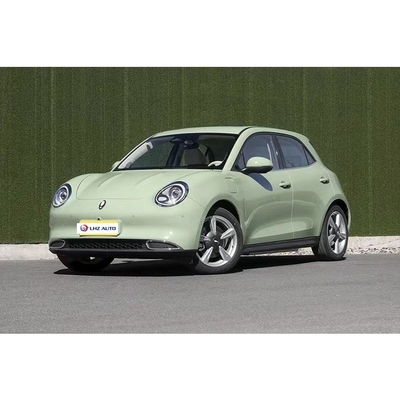 Elektrische parkeerrem 2024 Great Wall Ora Good Cat Auto met Car Entertainment System