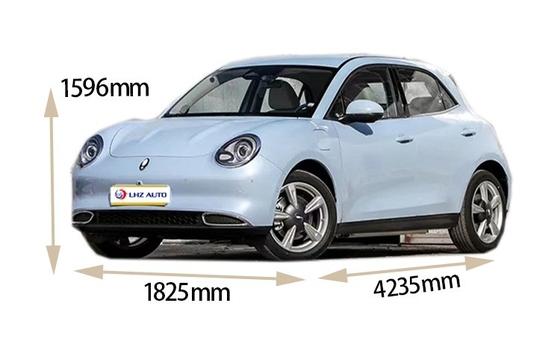 2024 Good Cat Gebruikte elektrische auto met 360° achtercamera en automatische airconditioning