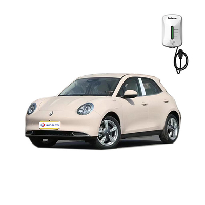 2023 ORA Electric SUV Auto met automatische airconditioning en Car Entertainment System