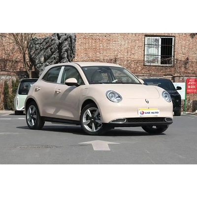 Great Wall ORA Good-cat 401km 501km Auto Energy Electric Car 2022 Binnen je budget